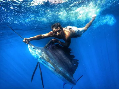 12647622 10156440557050035 2079787453 n