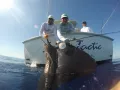 GOPR0387
