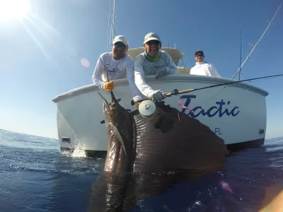 GOPR0387