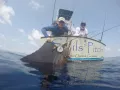 GOPR0627