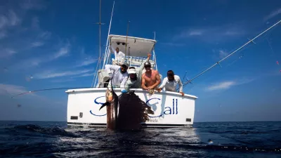 15555617 10154957200736019 1656270544 o