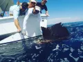 AussieGoPRO