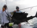 IMG 0009