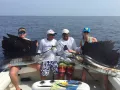 IMG 0178 1 