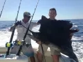 IMG 0537