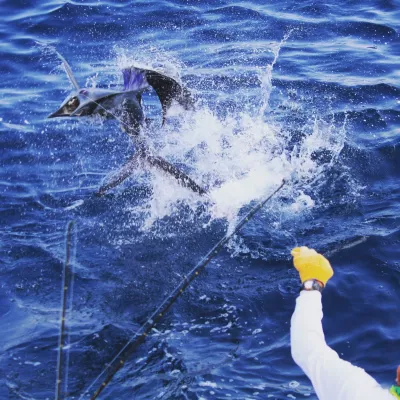 IMG 20170120 174554 877