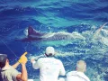 IMG 20170304 204251 124