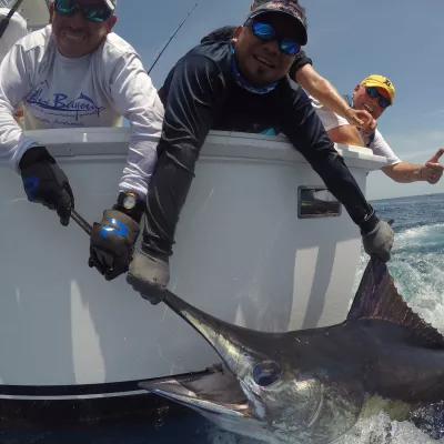 IMG 20170701 171052 910