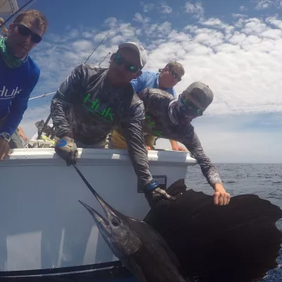 IMG 20170729 190447 728