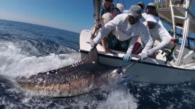 WhatsApp Image 2016 11 13 at 4.33.41 PM