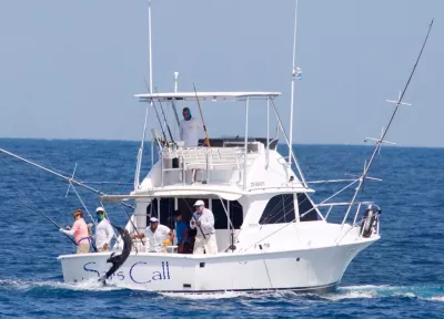 WhatsApp Image 2017 03 02 at 7.56.37 PM