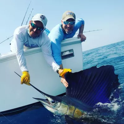 WhatsApp Image 2017 04 09 at 6.17.01 AM