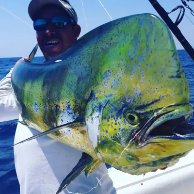 WhatsApp Image 2017 04 14 at 5.16.44 PM