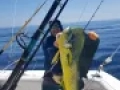 20180221 125127 2 