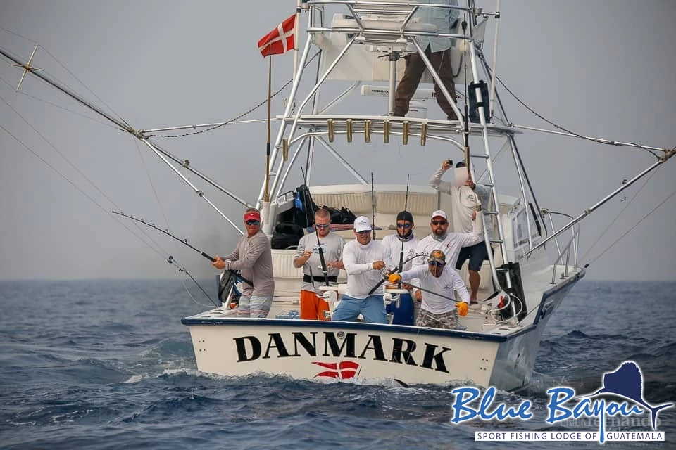 65647756 321917445424579 7105357499502428160 n