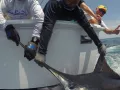IMG 20170701 171052 9108