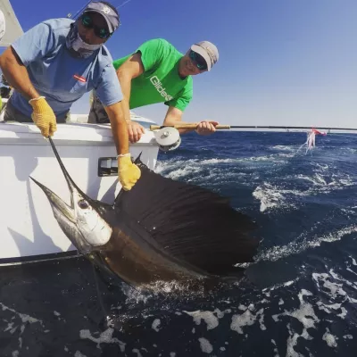 IMG 20180309 211146 201