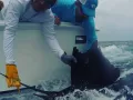 JonSailFirst3