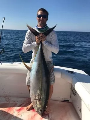 rsz 1rsz img 20171103 wa0005