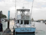 sailspitchbackup1
